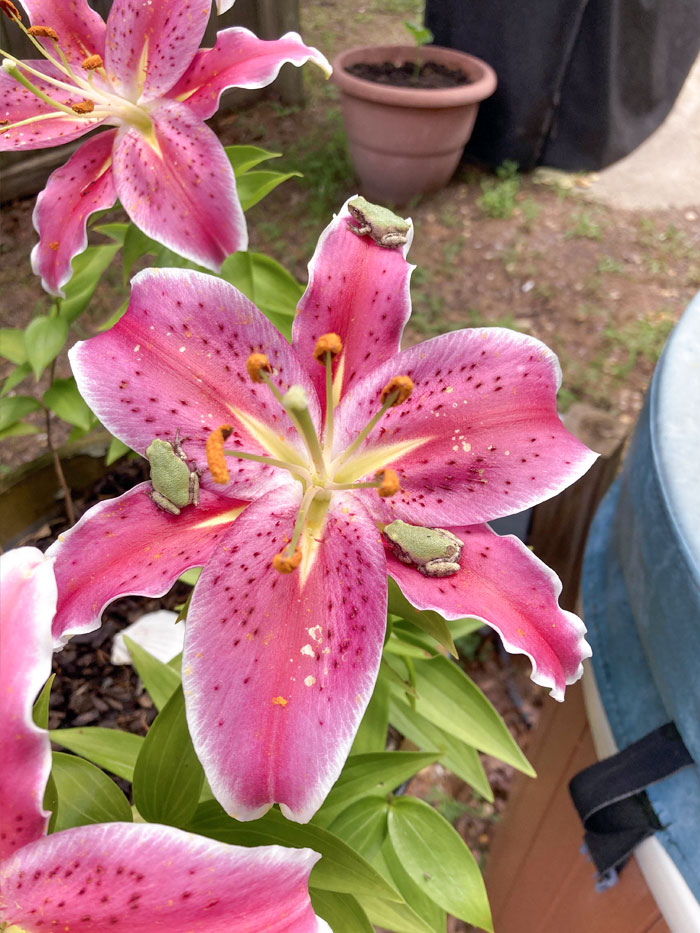 50 Cute And Funny Photos That May Show You A Different Side To These Critters (New Pics) 50 Cute And Funny Photos That May Show You A Different Side To These Critters (New Pics)