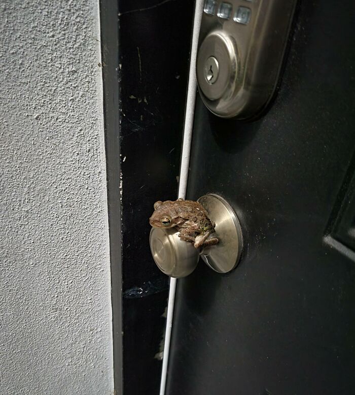 50 Cute And Funny Photos That May Show You A Different Side To These Critters (New Pics) 50 Cute And Funny Photos That May Show You A Different Side To These Critters (New Pics)