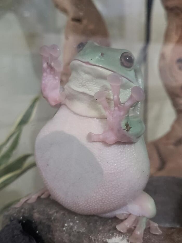 50 Cute And Funny Photos That May Show You A Different Side To These Critters (New Pics) 50 Cute And Funny Photos That May Show You A Different Side To These Critters (New Pics)