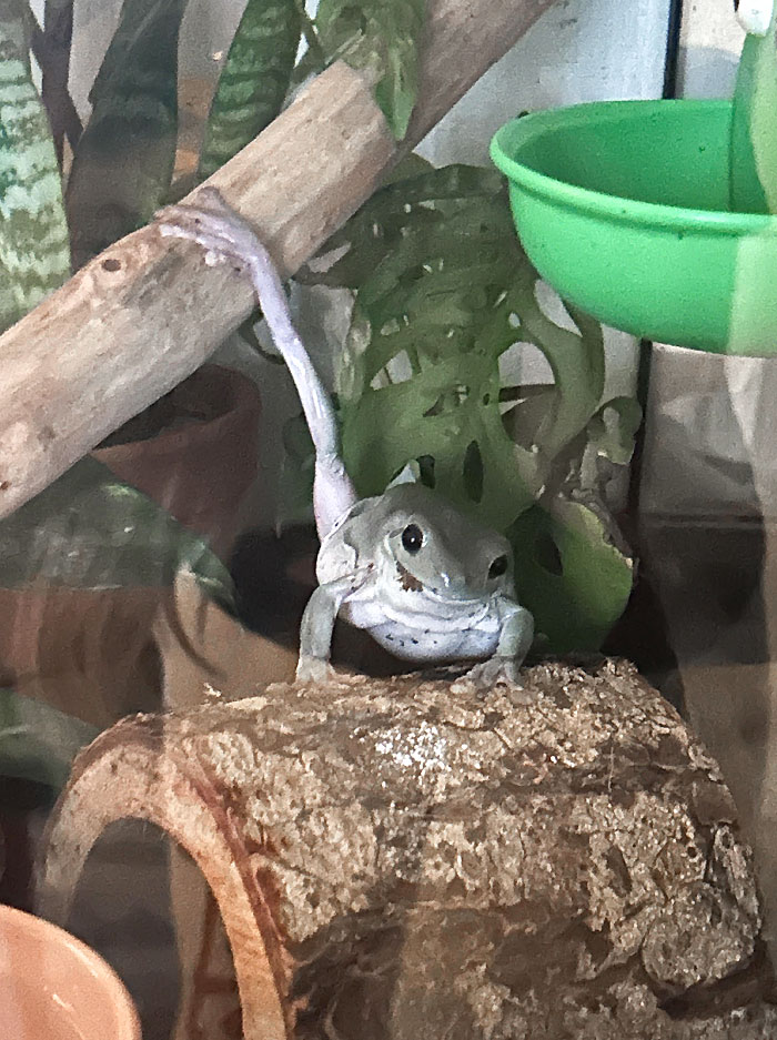 50 Cute And Funny Photos That May Show You A Different Side To These Critters (New Pics) 50 Cute And Funny Photos That May Show You A Different Side To These Critters (New Pics)