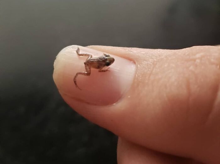 50 Cute And Funny Photos That May Show You A Different Side To These Critters (New Pics) 50 Cute And Funny Photos That May Show You A Different Side To These Critters (New Pics)