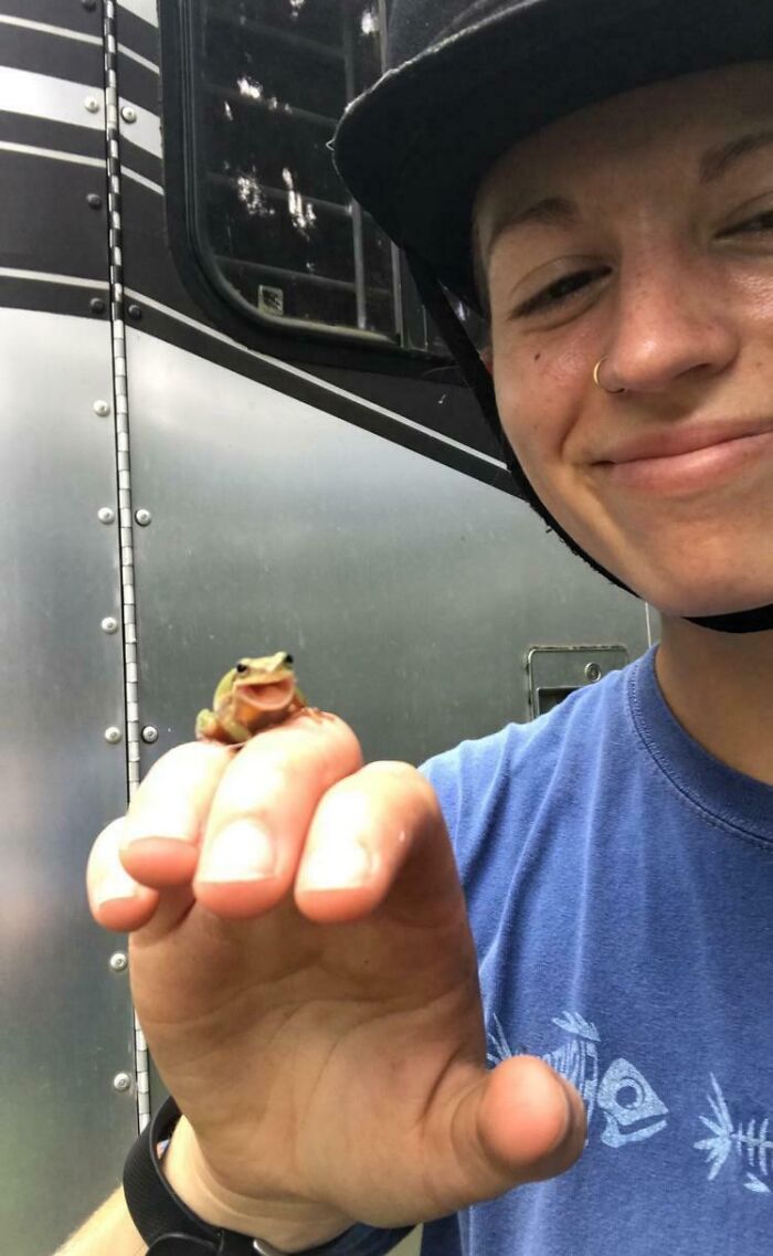 50 Cute And Funny Photos That May Show You A Different Side To These Critters (New Pics) 50 Cute And Funny Photos That May Show You A Different Side To These Critters (New Pics)