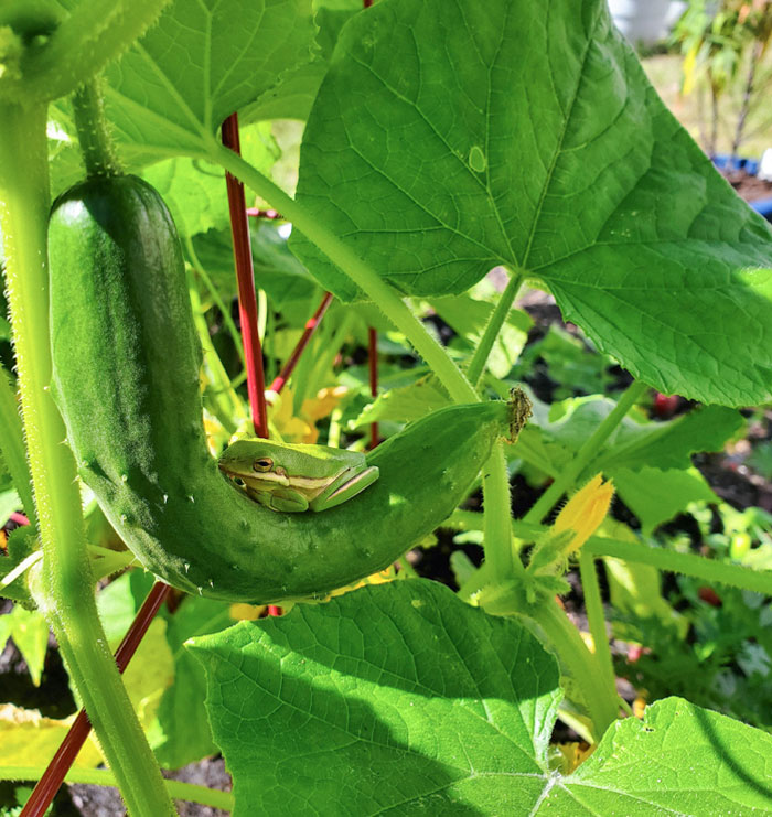 50 Cute And Funny Photos That May Show You A Different Side To These Critters (New Pics) 50 Cute And Funny Photos That May Show You A Different Side To These Critters (New Pics)