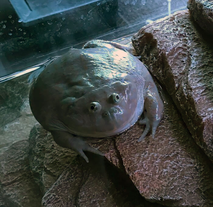 50 Cute And Funny Photos That May Show You A Different Side To These Critters (New Pics) 50 Cute And Funny Photos That May Show You A Different Side To These Critters (New Pics)