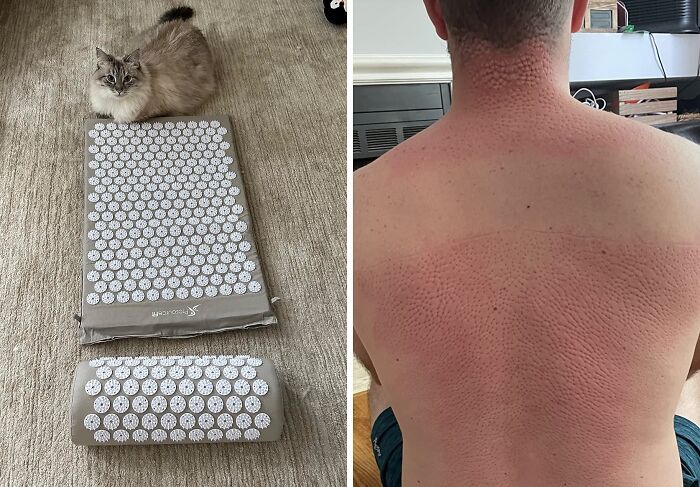 20 Shark Tank Investments That Continue To Thrive After Cameras Stopped Rolling 20 Shark Tank Investments That Continue To Thrive After Cameras Stopped Rolling