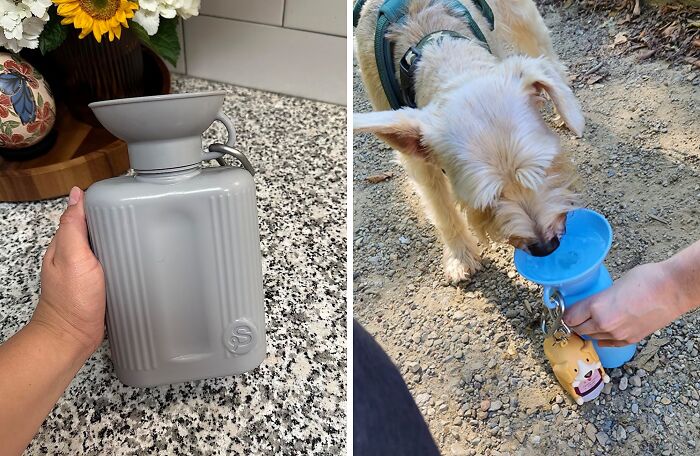 20 Shark Tank Investments That Continue To Thrive After Cameras Stopped Rolling 20 Shark Tank Investments That Continue To Thrive After Cameras Stopped Rolling