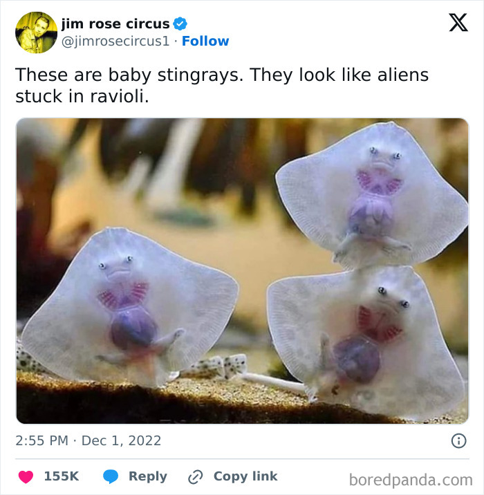 Humorous Memes For When You Need A Short Break From This Thing Called Life (50 Pics) Humorous Memes For When You Need A Short Break From This Thing Called Life (50 Pics)