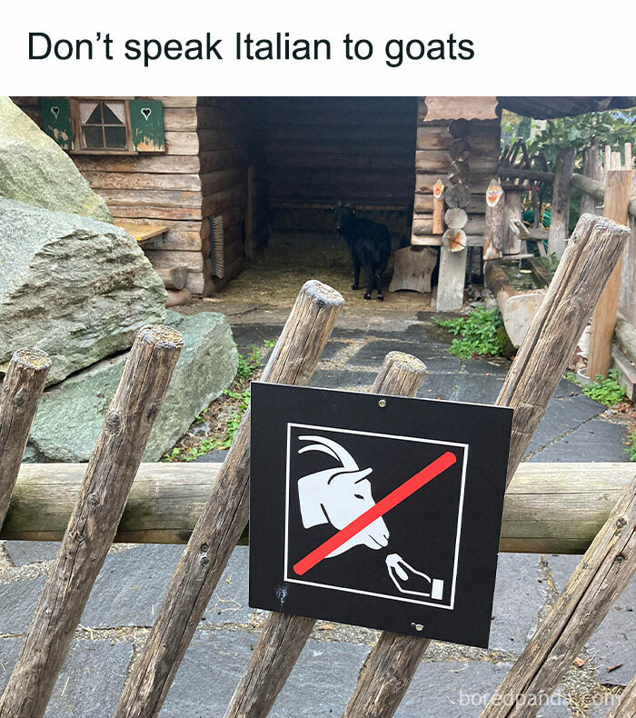 Humorous Memes For When You Need A Short Break From This Thing Called Life (50 Pics) Humorous Memes For When You Need A Short Break From This Thing Called Life (50 Pics)