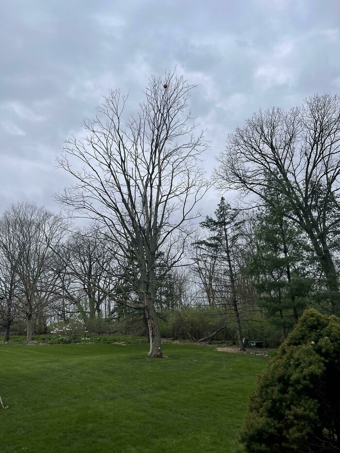 50 Wild Pics Showing Rare Coincidences That Almost Never Happen (New Pics) 50 Wild Pics Showing Rare Coincidences That Almost Never Happen (New Pics)