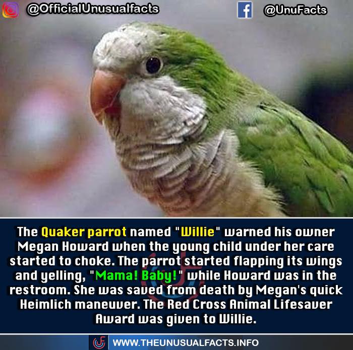 50 Posts From This FB Page Dedicated To “Amazing Facts And Unbelievable Things In The World” (New Pics) 50 Posts From This FB Page Dedicated To “Amazing Facts And Unbelievable Things In The World” (New Pics)