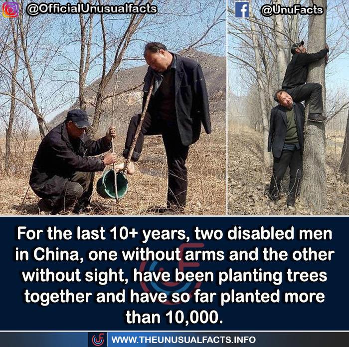 50 Posts From This FB Page Dedicated To “Amazing Facts And Unbelievable Things In The World” (New Pics) 50 Posts From This FB Page Dedicated To “Amazing Facts And Unbelievable Things In The World” (New Pics)