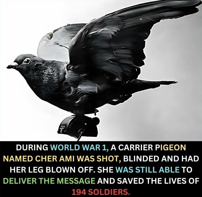 50 Posts From This FB Page Dedicated To “Amazing Facts And Unbelievable Things In The World” (New Pics) 50 Posts From This FB Page Dedicated To “Amazing Facts And Unbelievable Things In The World” (New Pics)