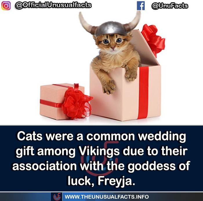 50 Posts From This FB Page Dedicated To “Amazing Facts And Unbelievable Things In The World” (New Pics) 50 Posts From This FB Page Dedicated To “Amazing Facts And Unbelievable Things In The World” (New Pics)