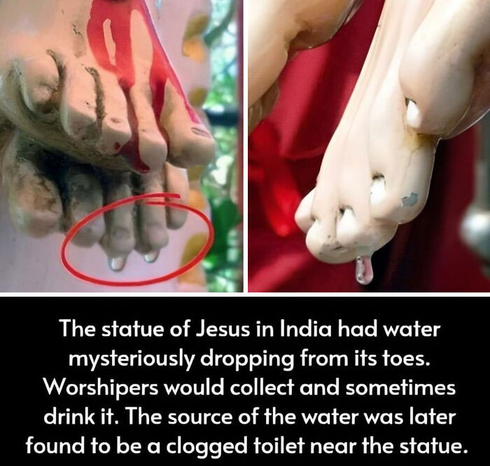 50 Posts From This FB Page Dedicated To “Amazing Facts And Unbelievable Things In The World” (New Pics) 50 Posts From This FB Page Dedicated To “Amazing Facts And Unbelievable Things In The World” (New Pics)