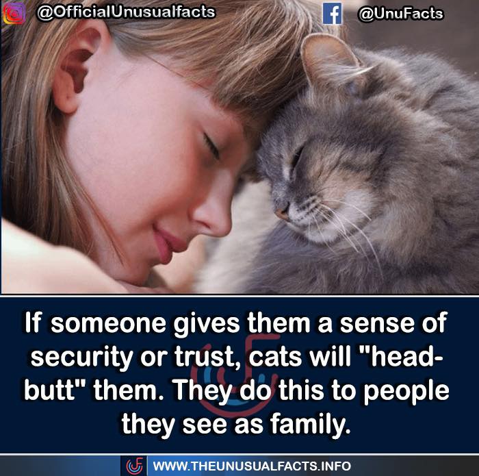 50 Posts From This FB Page Dedicated To “Amazing Facts And Unbelievable Things In The World” (New Pics) 50 Posts From This FB Page Dedicated To “Amazing Facts And Unbelievable Things In The World” (New Pics)