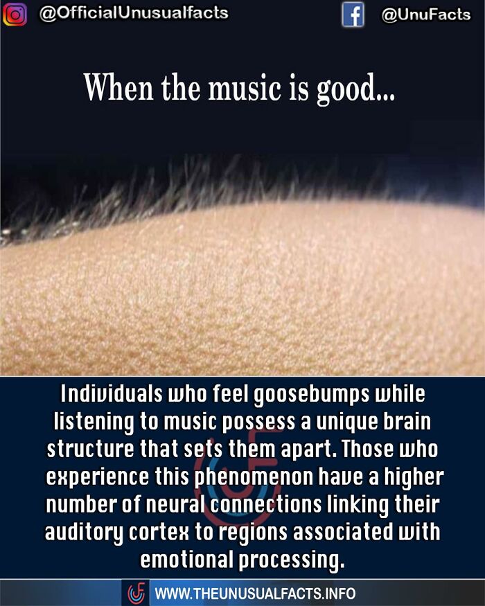 50 Posts From This FB Page Dedicated To “Amazing Facts And Unbelievable Things In The World” (New Pics) 50 Posts From This FB Page Dedicated To “Amazing Facts And Unbelievable Things In The World” (New Pics)