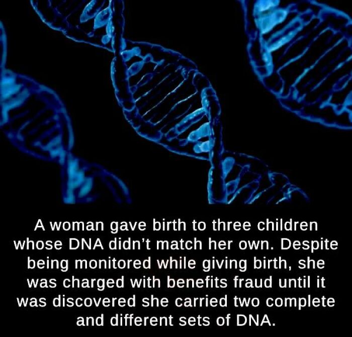 50 Posts From This FB Page Dedicated To “Amazing Facts And Unbelievable Things In The World” (New Pics) 50 Posts From This FB Page Dedicated To “Amazing Facts And Unbelievable Things In The World” (New Pics)