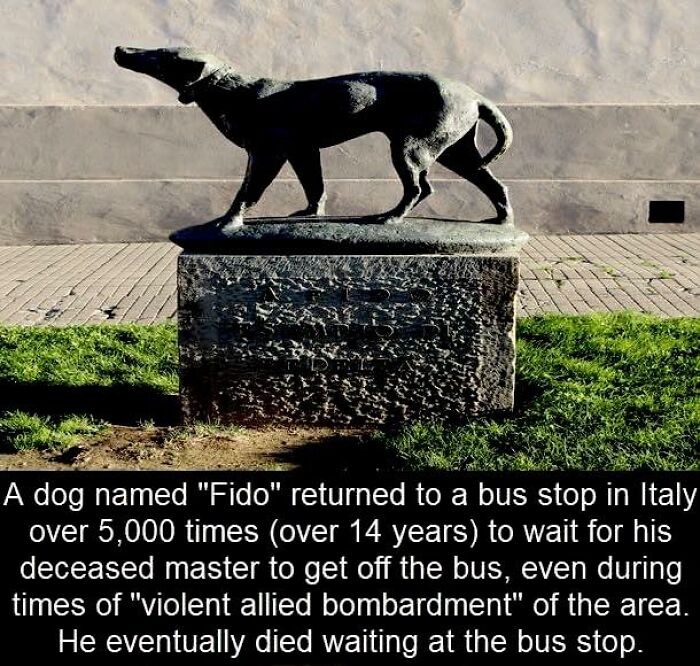 50 Posts From This FB Page Dedicated To “Amazing Facts And Unbelievable Things In The World” (New Pics) 50 Posts From This FB Page Dedicated To “Amazing Facts And Unbelievable Things In The World” (New Pics)