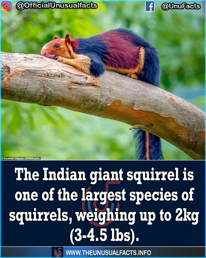 50 Posts From This FB Page Dedicated To “Amazing Facts And Unbelievable Things In The World” (New Pics) 50 Posts From This FB Page Dedicated To “Amazing Facts And Unbelievable Things In The World” (New Pics)