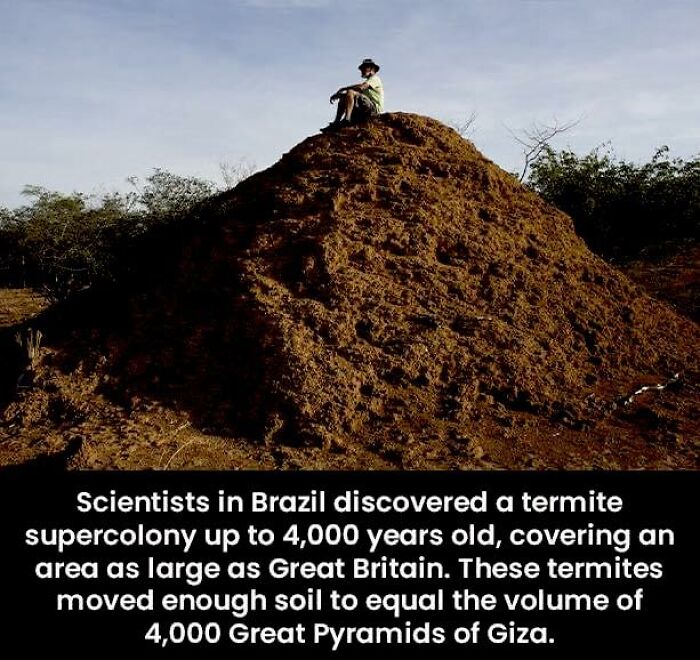 50 Posts From This FB Page Dedicated To “Amazing Facts And Unbelievable Things In The World” (New Pics) 50 Posts From This FB Page Dedicated To “Amazing Facts And Unbelievable Things In The World” (New Pics)