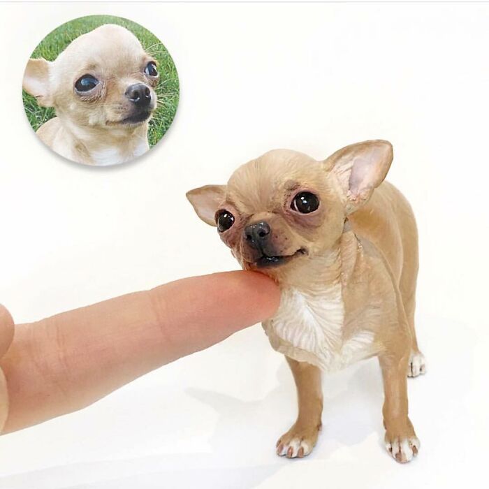 20 Of This Artist’s Hyperrealistic Pet Sculptures That Will Make You Want One Of Your Own 20 Of This Artist’s Hyperrealistic Pet Sculptures That Will Make You Want One Of Your Own