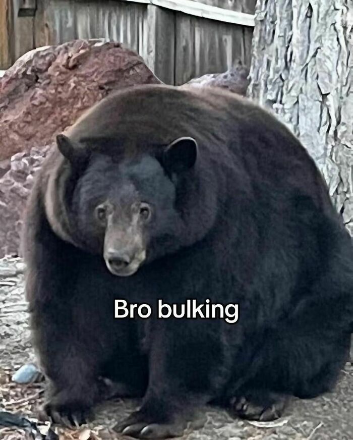 30 Hilarious Images That Perfectly Sum Up What Health Nuts Regularly Go Through 30 Hilarious Images That Perfectly Sum Up What Health Nuts Regularly Go Through