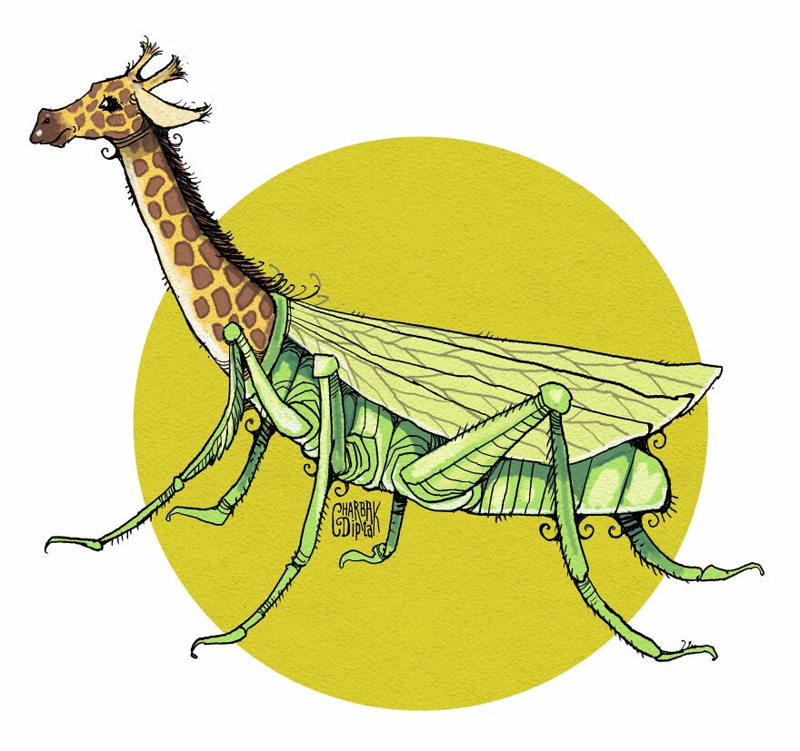 I Made Hybrid Animal Drawings (8 Pics) I Made Hybrid Animal Drawings (8 Pics)