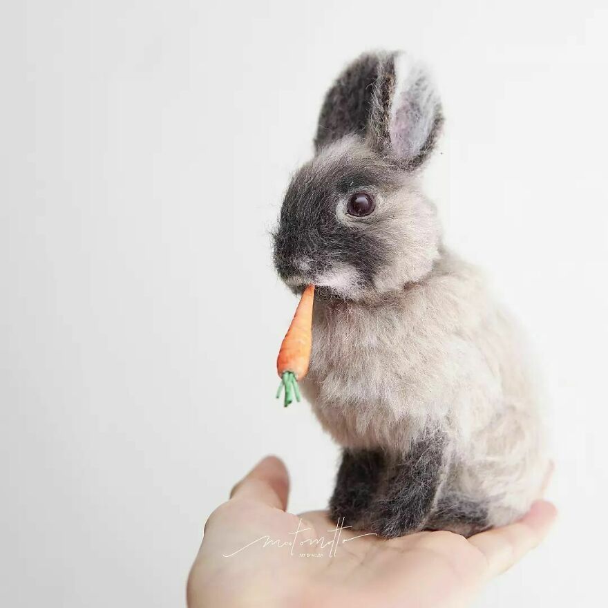 This Artist Turns Wool Into Various Animal Sculptures (43 New Pics) This Artist Turns Wool Into Various Animal Sculptures (43 New Pics)