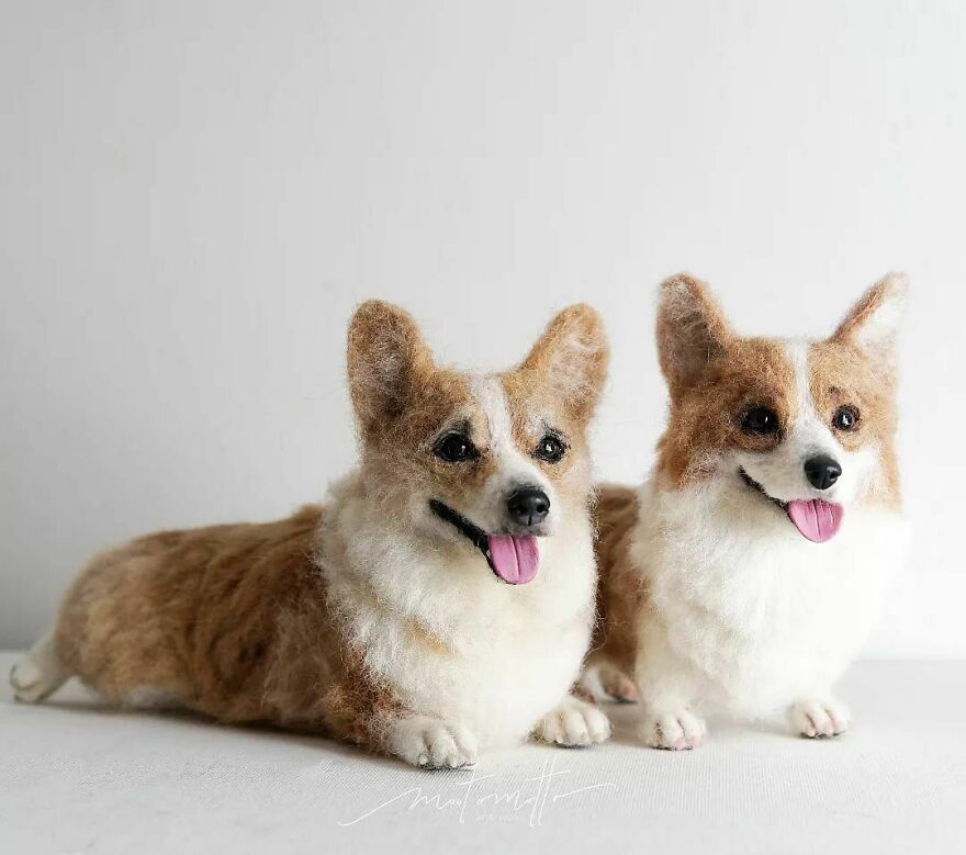 This Artist Turns Wool Into Various Animal Sculptures (43 New Pics) This Artist Turns Wool Into Various Animal Sculptures (43 New Pics)