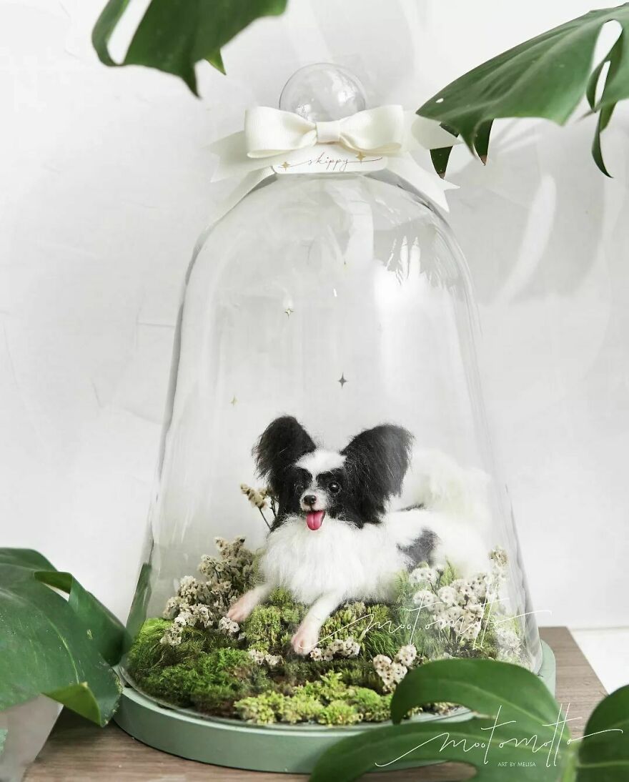 This Artist Turns Wool Into Various Animal Sculptures (43 New Pics) This Artist Turns Wool Into Various Animal Sculptures (43 New Pics)