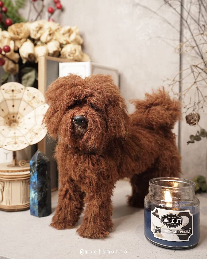 This Artist Turns Wool Into Various Animal Sculptures (43 New Pics) This Artist Turns Wool Into Various Animal Sculptures (43 New Pics)