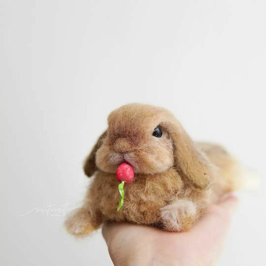 This Artist Turns Wool Into Various Animal Sculptures (43 New Pics) This Artist Turns Wool Into Various Animal Sculptures (43 New Pics)