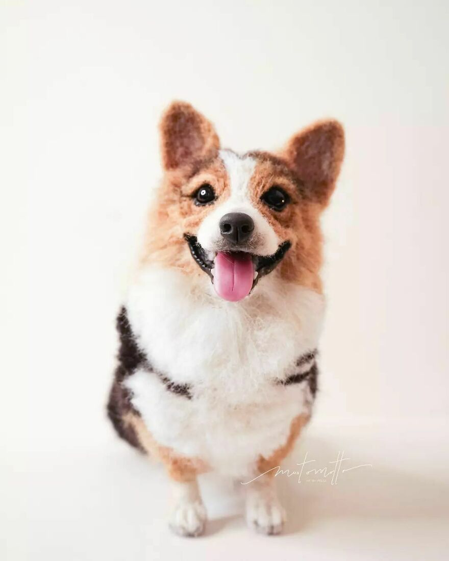 This Artist Turns Wool Into Various Animal Sculptures (43 New Pics) This Artist Turns Wool Into Various Animal Sculptures (43 New Pics)