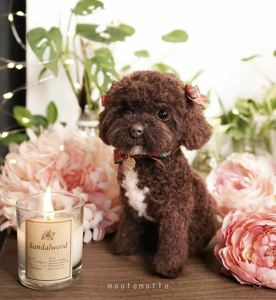 This Artist Turns Wool Into Various Animal Sculptures (43 New Pics) This Artist Turns Wool Into Various Animal Sculptures (43 New Pics)