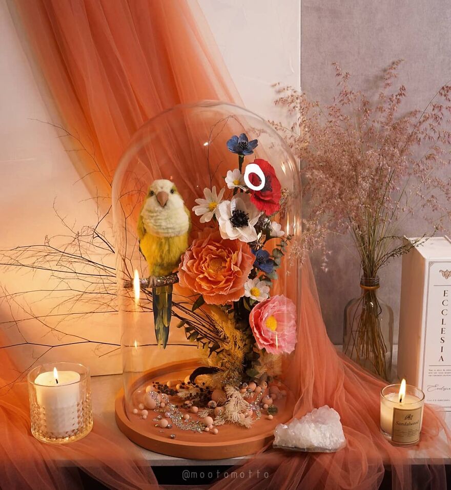 This Artist Turns Wool Into Various Animal Sculptures (43 New Pics) This Artist Turns Wool Into Various Animal Sculptures (43 New Pics)