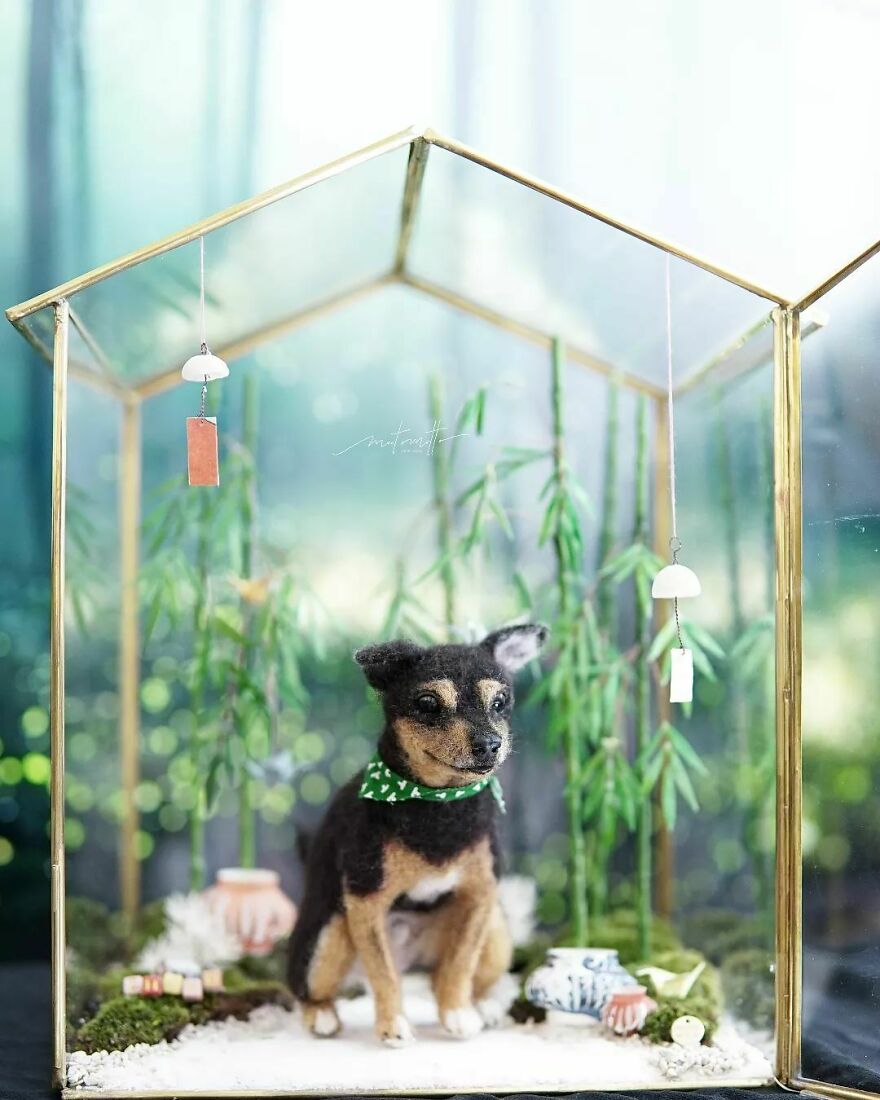 This Artist Turns Wool Into Various Animal Sculptures (43 New Pics) This Artist Turns Wool Into Various Animal Sculptures (43 New Pics)