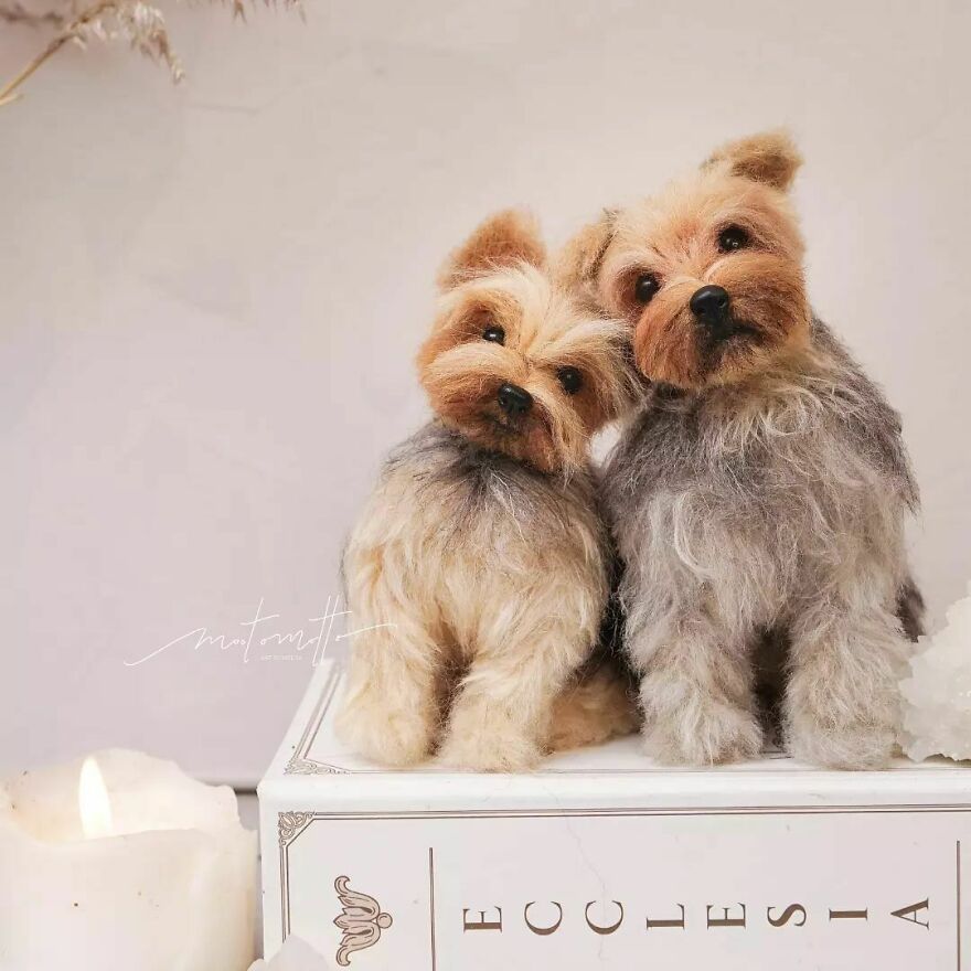 This Artist Turns Wool Into Various Animal Sculptures (43 New Pics) This Artist Turns Wool Into Various Animal Sculptures (43 New Pics)