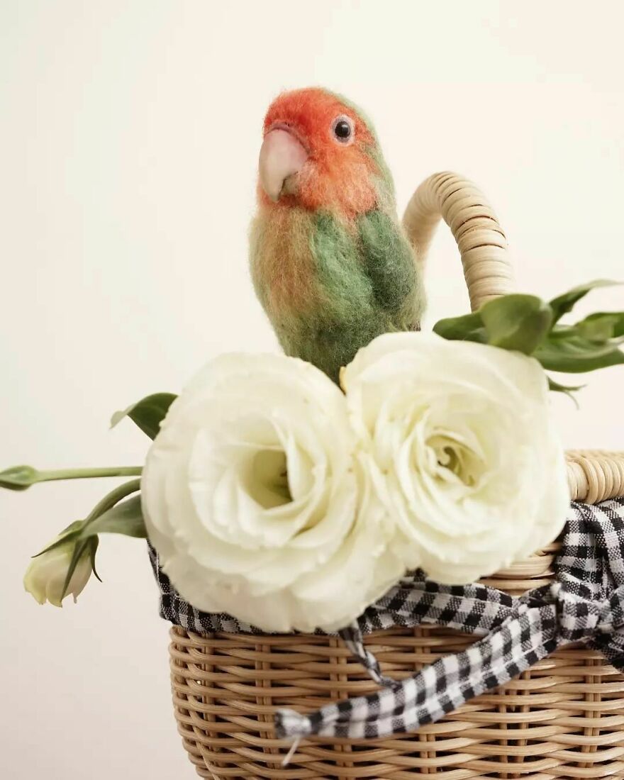 This Artist Turns Wool Into Various Animal Sculptures (43 New Pics) This Artist Turns Wool Into Various Animal Sculptures (43 New Pics)