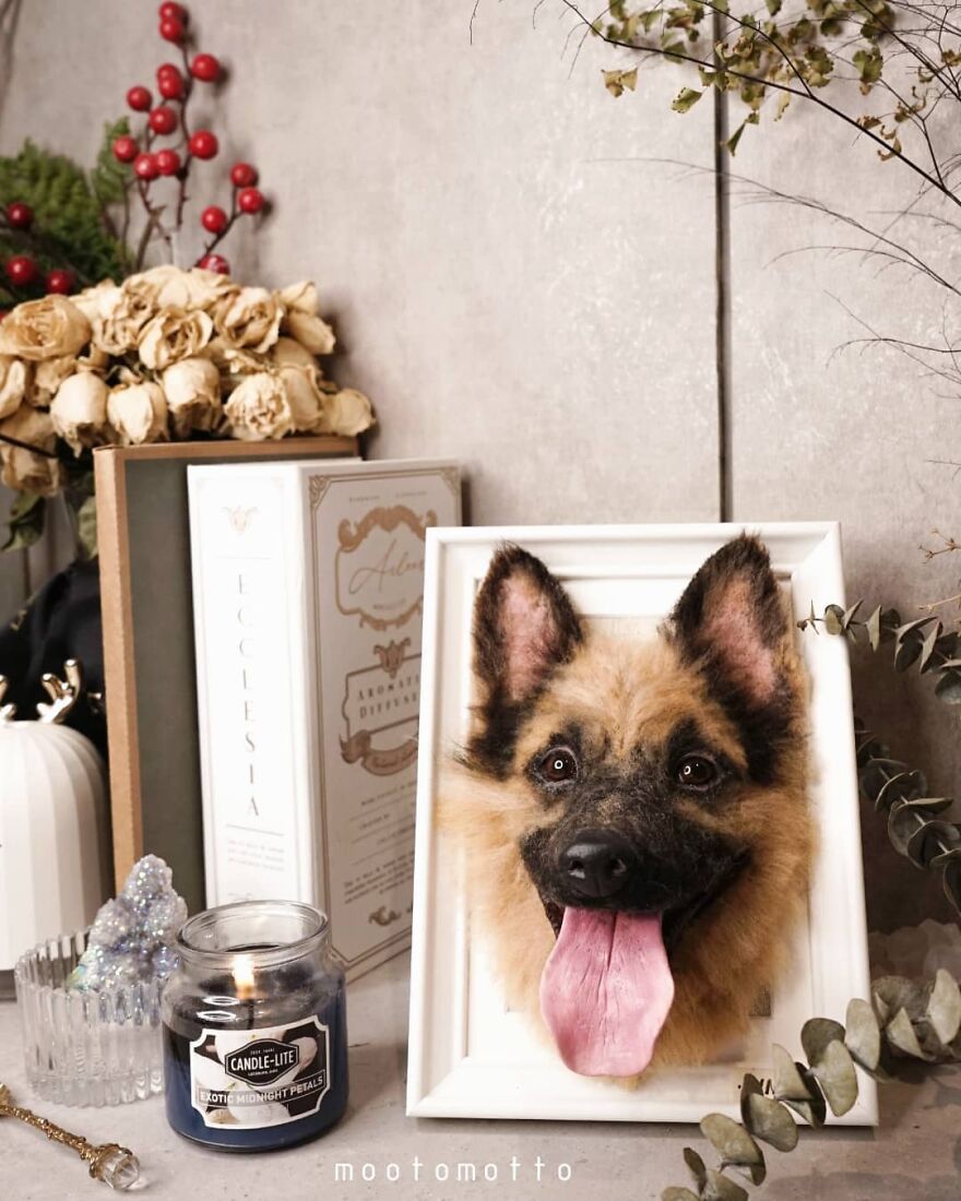 This Artist Turns Wool Into Various Animal Sculptures (43 New Pics) This Artist Turns Wool Into Various Animal Sculptures (43 New Pics)