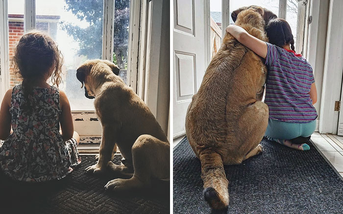 We’re Not Crying, You’re Crying: 50 People Share Adorable Then Vs. Now Pics With Their Pets We’re Not Crying, You’re Crying: 50 People Share Adorable Then Vs. Now Pics With Their Pets