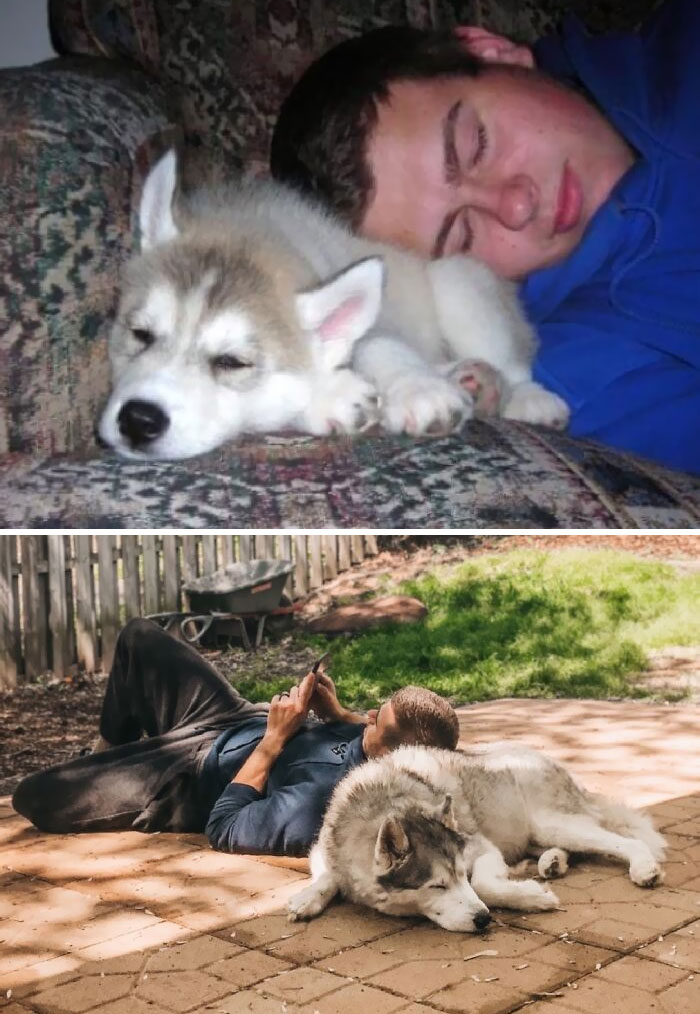 We’re Not Crying, You’re Crying: 50 People Share Adorable Then Vs. Now Pics With Their Pets We’re Not Crying, You’re Crying: 50 People Share Adorable Then Vs. Now Pics With Their Pets