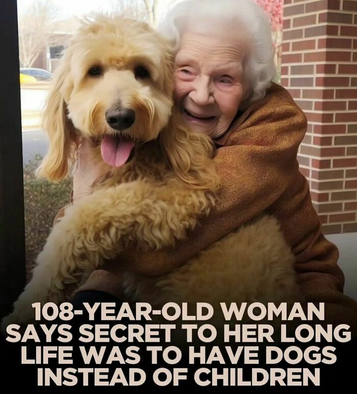If You Like Dogs More Than People, You May Enjoy These 50 Heartwarming Memes If You Like Dogs More Than People, You May Enjoy These 50 Heartwarming Memes