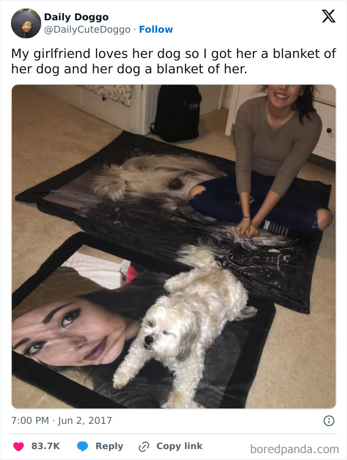 If You Like Dogs More Than People, You May Enjoy These 50 Heartwarming Memes If You Like Dogs More Than People, You May Enjoy These 50 Heartwarming Memes