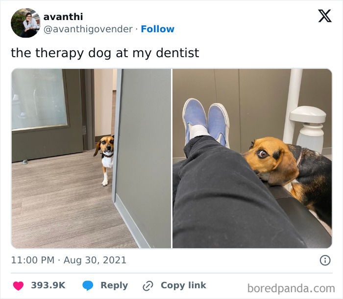 If You Like Dogs More Than People, You May Enjoy These 50 Heartwarming Memes If You Like Dogs More Than People, You May Enjoy These 50 Heartwarming Memes