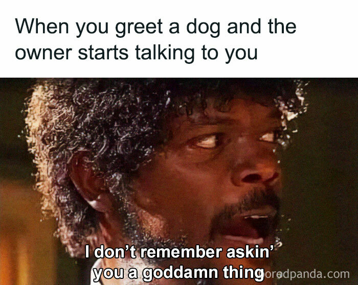 If You Like Dogs More Than People, You May Enjoy These 50 Heartwarming Memes If You Like Dogs More Than People, You May Enjoy These 50 Heartwarming Memes