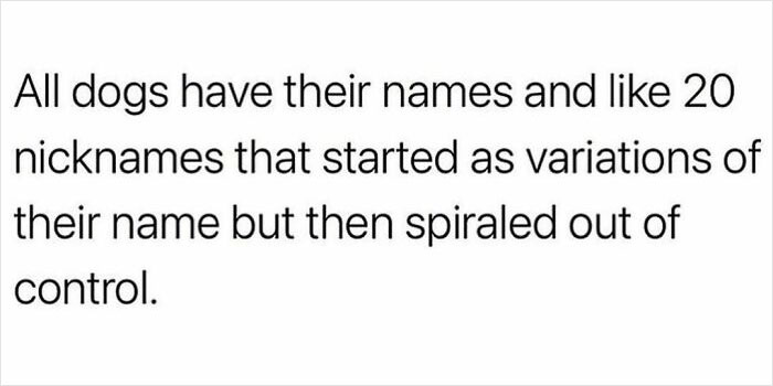 If You Like Dogs More Than People, You May Enjoy These 50 Heartwarming Memes If You Like Dogs More Than People, You May Enjoy These 50 Heartwarming Memes