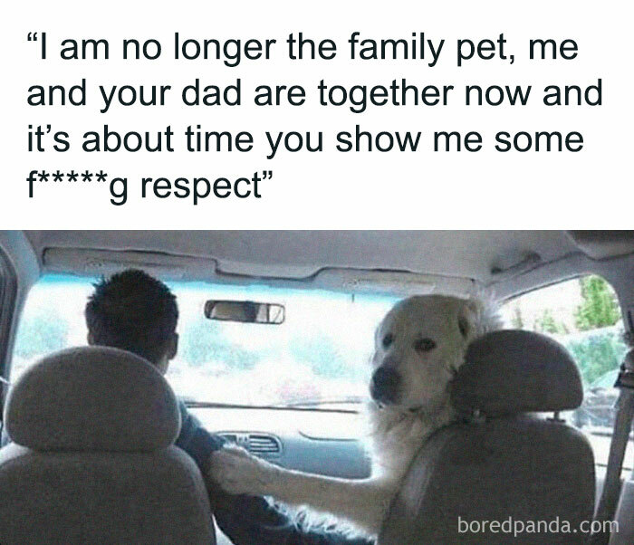 If You Like Dogs More Than People, You May Enjoy These 50 Heartwarming Memes If You Like Dogs More Than People, You May Enjoy These 50 Heartwarming Memes