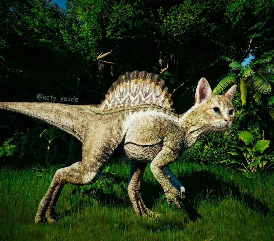 Artist Photoshops Cat Faces On Almost Everything And Here Is The Result (56 New Pics) Artist Photoshops Cat Faces On Almost Everything And Here Is The Result (56 New Pics)