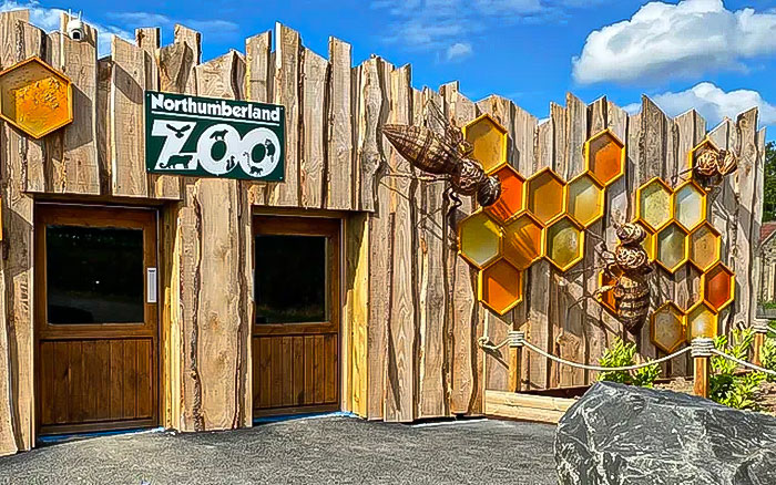 Boomer Couple’s “Gen Z Style” Tour Of Zoo Goes Viral, People Call It “Marketing Genius”