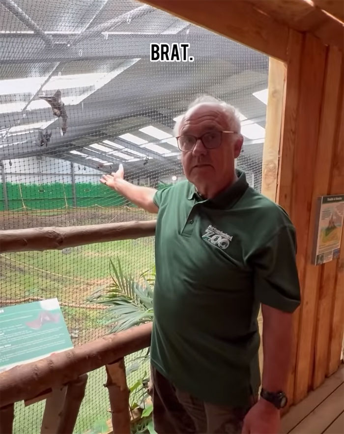 Boomer Couple’s “Gen Z Style” Tour Of Zoo Goes Viral, People Call It “Marketing Genius”